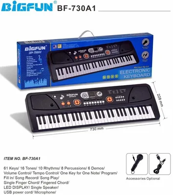 61 Keys Electronic Keyboard with Microphone BF-730A1